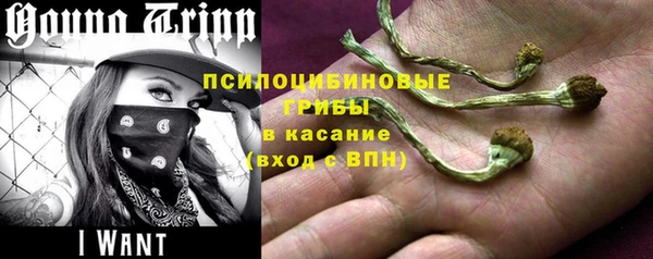 винт Алексеевка