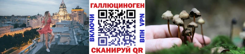 закладки  Малоархангельск  Псилоцибиновые грибы Psilocybe 